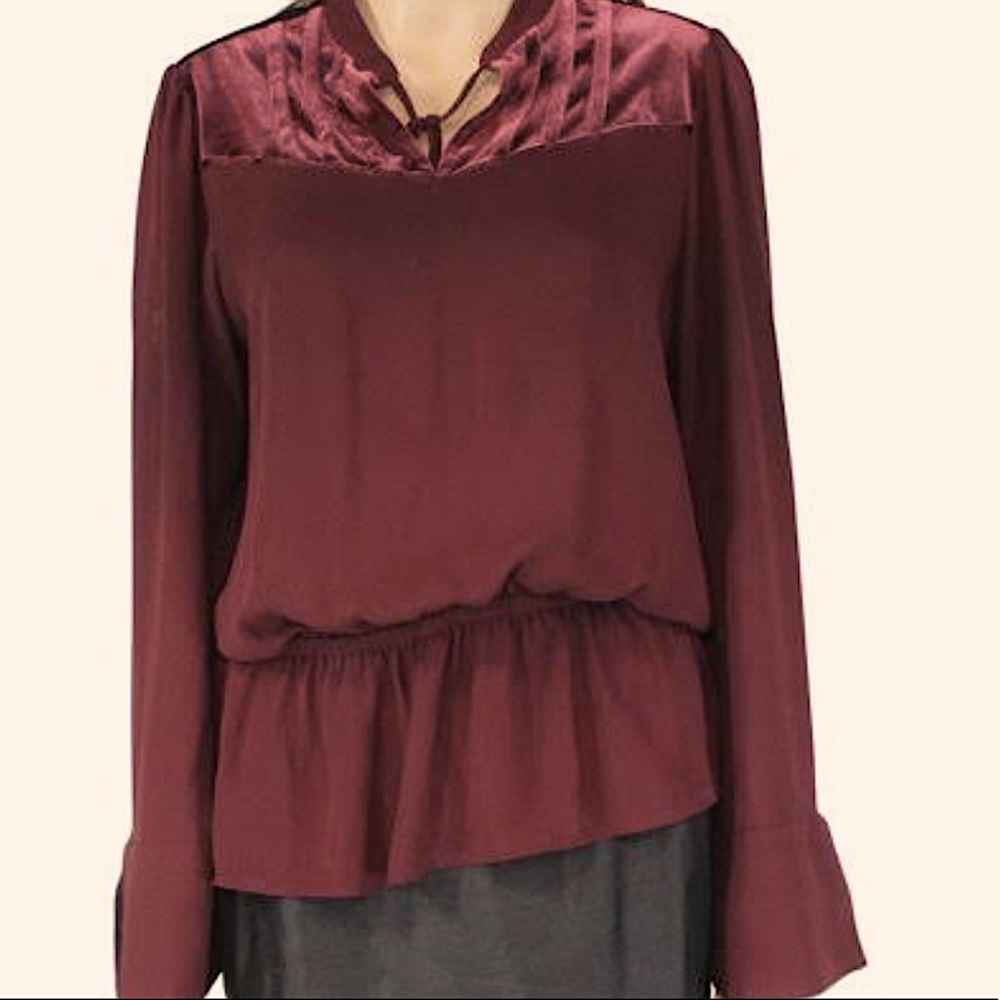 Unworn worthington maroon velvet chic blouse